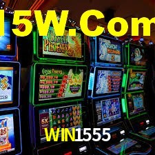 Statistics WIN1555