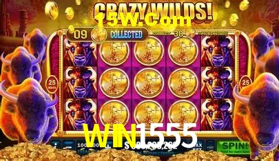 WIN1555 Brasília - Betting Features